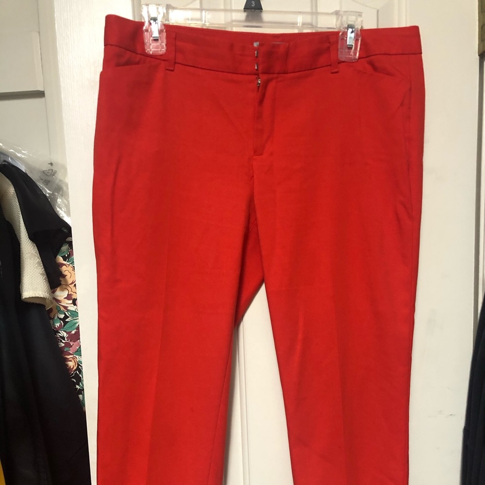 Great Fall Colored Gap Cropped Trouser
